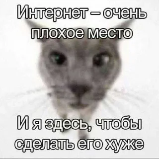 😳 emoji котейки. ➡️ @Ctikerubot Telegram sticker 4 of 102