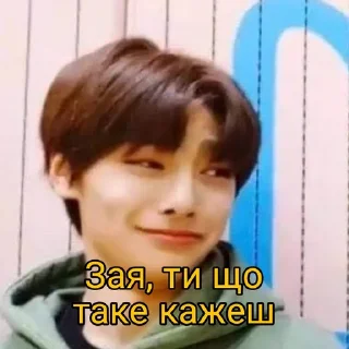 🙃 emoji АйЕн Он ТоП @StrayKids_Ukraine Telegram sticker 12 of 72