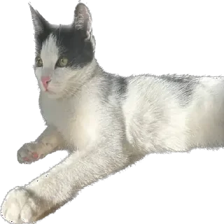 ☀️ emoji Марускино Хлойка😜😜 ➡️ @Ctikerubot Telegram sticker 11 of 33