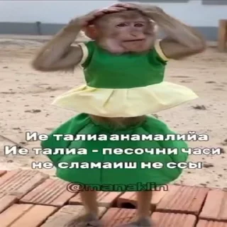 🐵 emoji Жмихнути монке 2.0 :: @stikery_robot Telegram sticker 18 of 35