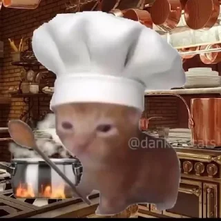 👨‍🍳 emoji KITTY CAT BY @CYXARUK27 Telegram sticker 21 of 33