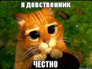 🥺 emoji рандом Telegram sticker 9 of 15