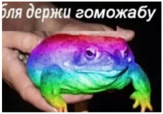 🏳‍🌈 emoji жабы Telegram sticker 19 of 20