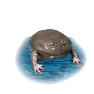 😭 emoji жабы Telegram sticker 11 of 12