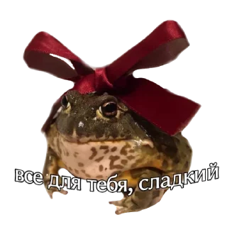 Sticker from жабы