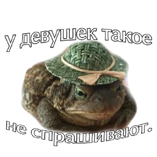🖕 emoji жабы Telegram sticker 9 of 12