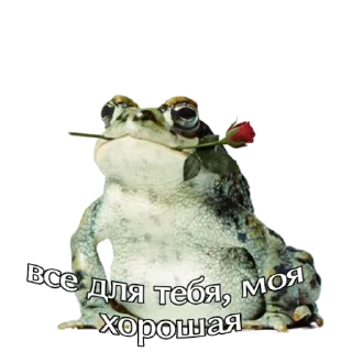 💗 emoji жабы Telegram sticker 5 of 12