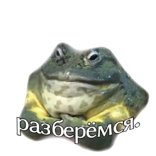 😤 emoji жабы Telegram sticker 7 of 12