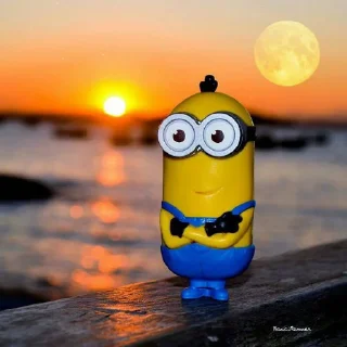 Sticker from minion religion
