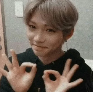 👌 emoji Stray Kids Telegram sticker 5 of 110