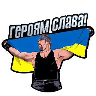 🇺🇦 emoji WWE Looks UA Telegram sticker 5 of 85