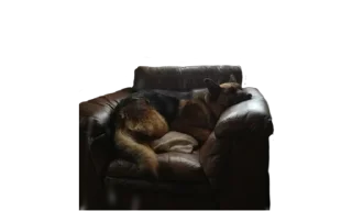 Sticker from micro gsd