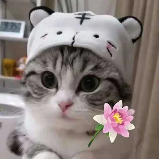 ☺️ emoji Комару ➡️ @Beluggggaa Telegram sticker 19 of 60