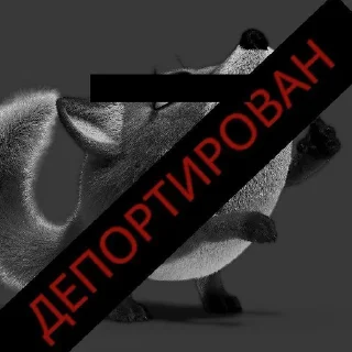Sticker from Смерть пак