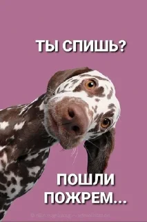🍔 emoji Милашка Telegram sticker 16 of 120