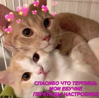 💞 emoji Милашка Telegram sticker 5 of 120