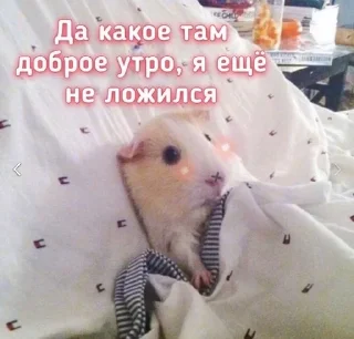 😴 emoji Милашка Telegram sticker 12 of 120