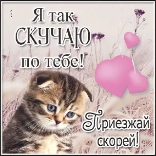 🥺 emoji OD Telegram sticker 17 of 54