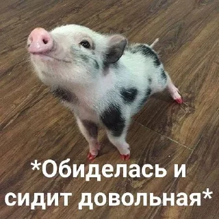 😒 emoji Хрюшки Telegram sticker 24 of 57