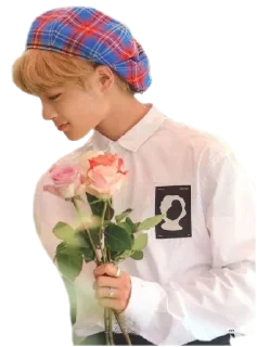 🌸 emoji Stray kids Telegram sticker 20 of 120
