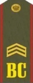 Sticker from Спамтону на СВО