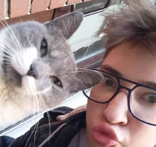 😽 emoji Тайлер Дерден Telegram sticker 17 of 40
