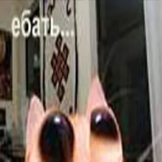 🤡 emoji Навалил кринжа Telegram sticker 10 of 94