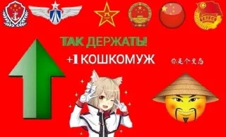 😻 emoji Компартия Китая Telegram sticker 13 of 14