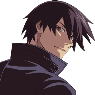 Sticker from Darker Than Black — @sph_ynx