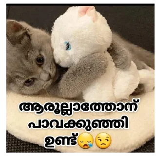 😿 emoji @PURRFECT_HUMAN's Pack Telegram sticker 5 of 97