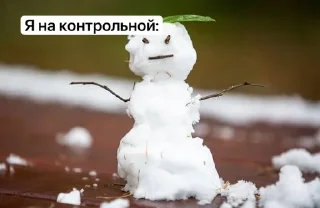 Sticker from Зимочка❄️