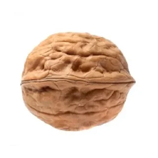 🌰 emoji Еда Telegram sticker 11 of 80
