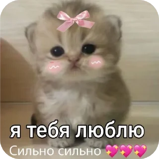 Sticker from стикеры от дмитрия