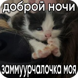 Sticker from стикеры от дмитрия