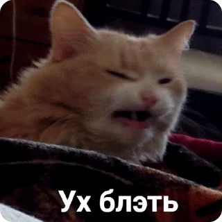 😡 emoji Мемчанский Telegram sticker 21 of 75