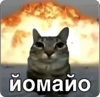 💥 emoji Мемчанский Telegram sticker 20 of 75