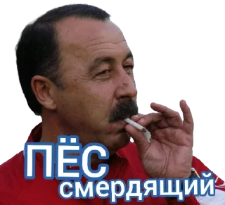 Sticker from Динамо Київ Outside