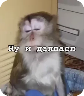 🌟 emoji Влад гей Telegram sticker 12 of 50