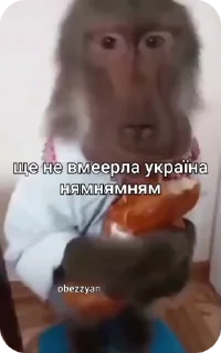 🌟 emoji Влад гей Telegram sticker 22 of 50