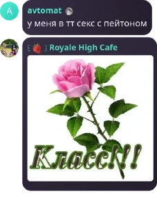 Sticker from 🍓