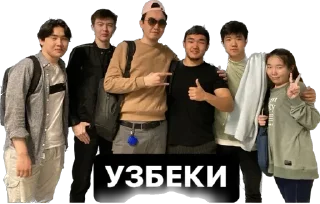 🇺🇿 emoji CS-2010 Telegram sticker 13 of 79