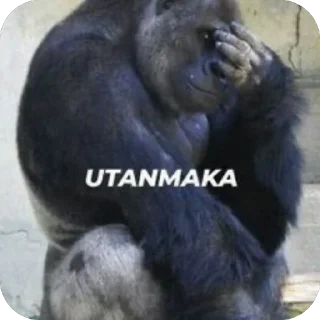 Sticker from Yorgun goril