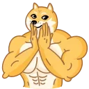 🤲 emoji Doge Telegram sticker 16 of 35