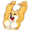😃 emoji Doge Telegram sticker 22 of 35