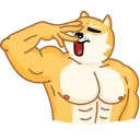 Sticker from Doge