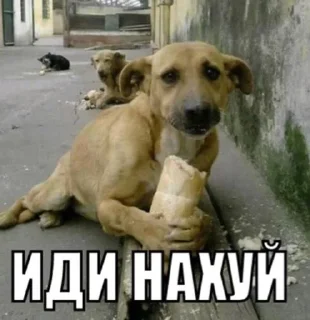 🤙 emoji хайп Telegram sticker 13 of 115