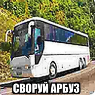 🍉 emoji Хайп Telegram sticker 22 of 22