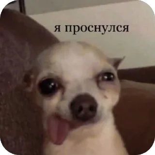 😜 emoji хайп Telegram sticker 18 of 84