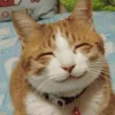 ☺️ emoji Reaction Telegram sticker 19 of 62