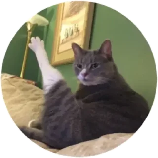 🐈 emoji Хоба(@alp_stickers) Telegram sticker 3 of 25
